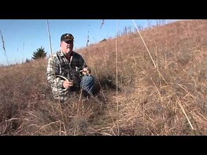 Deer Hunting 101: Bedding Areas