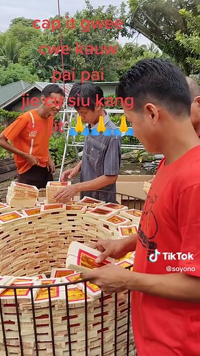 Box Stacking Techniques in Colorful Outdoor Setting