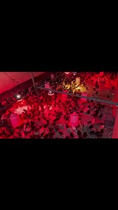 The Ultimate Guide to Bedding for Brooding Chicks Choosing the right bedding for your brooding chicks is crucial for their health and well-being. In this post, we'll explore the different types of bedding available, what to avoid, and tips for managing bedding. 🌋Types of Bedding for Brooding Chicks: 1⃣Wood Shavings: Wood shavings are a popular choice for brooding chicks. They are absorbent, dry, and comfortable for the chicks. Look for shavings that are free from pine oils, which can be toxic t