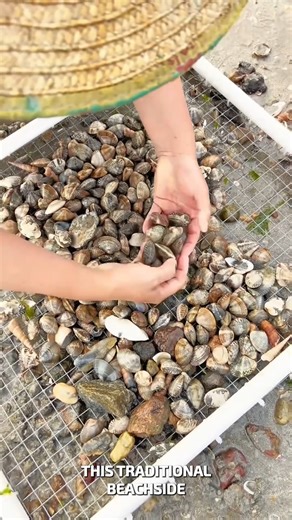 Beach Raking Brings Shells and Smiles #BeachHarvest #ShellCollectors #SeasideLife | YNP Media