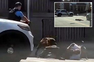 Philadelphia cop shoots, kills dog as pack of four canines mauls man in street: video
