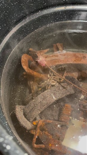 Prepping for the trapping season I’ll start setting traps Tomorrow! #coyote #hunting #trapping #coyotetrapping #coyoteugly #fyp #reels | Jake Outdoorz