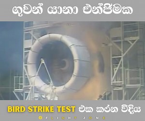 Airplane Jet Engine Bird Strike Test | ✈️💯👨‍✈️ . . . . #aviation #birdstrike #airlines #airplane #aviator #SriLanka #FacebookPage #video #airliftperformance #crashtest #testing #jetengine #airbus #boing737 | Flight Zone