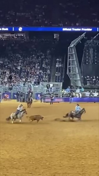 28K views · 919 reactions | We will see Jake Long & partner Clint Summers in the Semifinals at Rodeo Houston!! #choiceofchampions #qualitymatters #cactussaddlery #conquerwithcactus #jakelong | Cactus Saddlery | Facebook