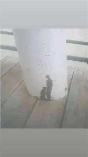 Blue six (@bluw6six)’s videos with original sound - Deep & Soulful House Angels