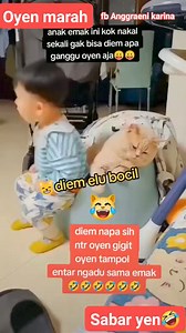 7.7K reactions · 115 shares | Selamat pagi.. #fyp #reels #selamatpagi #semangat #kontenkreator #kontenhiburan #kontenkucing #kontenHobby #viral #tendang #kontenhewan #fypviral #fup #kucinglucu #kucingimut #kucingpintar #kucingoyen | Anggraeni Karina | Facebook