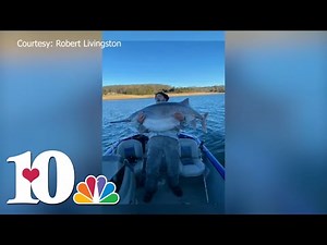 East TN man reels in potentially record-breaking fish on Cherokee Lake