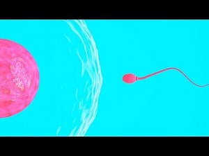 Kansas Goes After Lesbians' Sperm Donor for Child Care