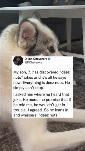 My son, 7, has discovered “deez nuts” jokes