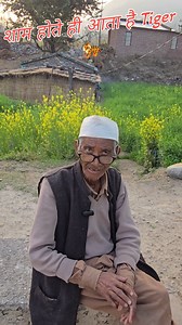 शाम होते ही आता है Tiger 🐅❗️ संभाल कर जाना🙏 #reels #nature | Abhishek Kumar