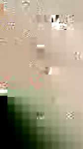 283K views · 1K reactions | I should do the same  | The Tab | Facebook