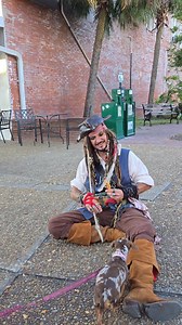 Cutie patooties in Fernandina Beach Historic District! #runwithjack #foryou #travel #travelblog #liveyourlife #doglover #pirates #namethebreed #dogbreed | Jack Runwithjack | Facebook
