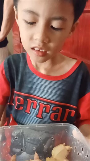 Rustam Aquatic on TikTok