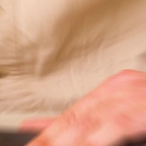 27K views | Waterproof Phone Case from Bike Tire Thanks for watching! Please be aware that this video is for entertainment purposes only and techniques shown should not be attempted at home! | Peaceful Century | Facebook