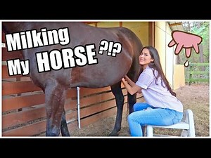 Milking My HORSE?!? | My Pregnant Horse Pt.8