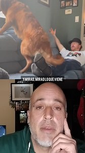 206K views · 9.7K reactions | Si esque son únicos y maravillosos. #animales #perros #gatos | ARC Rescate Animal | Facebook