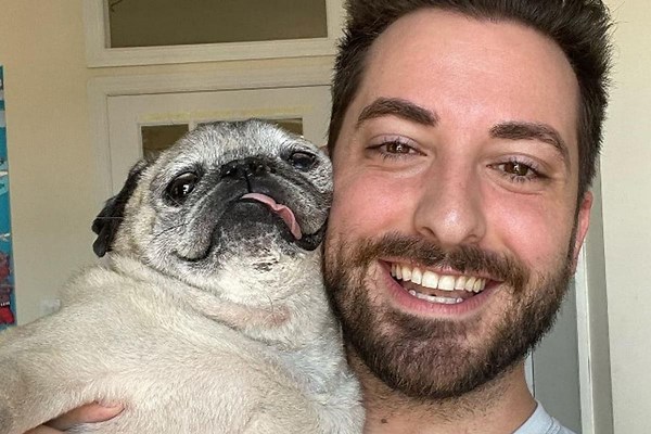 Microchip - How to microchip your dog