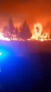 62K views · 393 reactions | Zjarri më i madh i kësaj vere në Evropë...