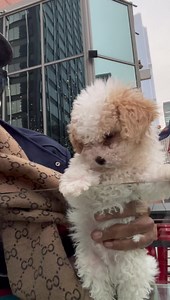 2.7K views · 201 reactions | Miguel A Nunez Jr on Reels | Facebook