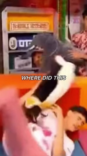 Max & Harvey Clips on TikTok