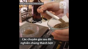 76K views · 1.1K reactions | Bánh mì giàu protein làm từ bột gián | SBC Scientific | Facebook