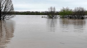 Flooded Ohio River Louisville Streetlight Water Stock Footage Video (100% Royalty-free) 3769750573 | Shutterstock