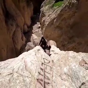 35 reactions | Climbing Boosts Kids' Development Kids who climb are more creative problem solvers, have better spatial awareness, coordination, strength, endurance, and flexibility . https://bit.ly/3di5oOg . #indoor #fec #familyentertainmentcenter #trublue #indoorclimbing #climbing | Thrill Syndicate | Facebook