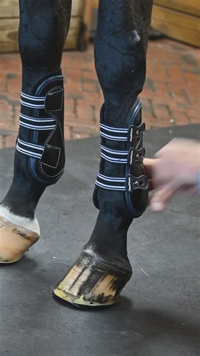 5.9K views · 43 reactions | Anatomically molded impact protection for a custom fit, every time.  In order for EquiFit boots to do their job properly, boots must fit snug. More contact ➡️ More support ➡️ More protection. #EquiFit #WeHaveHigherStandards #InnovationInEveryStitch #YourDefenseTechnology | EquiFit | Facebook