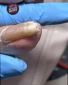 17K views · 124 reactions | 686. Routines reinforce everyday nutrition label-smart meals grocery stores #ActiveWellness #LabelSmart #SmartShopping | NC State Wolfpack on TheWolfpacker.com | Facebook