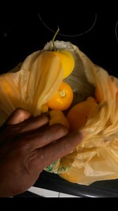 Making tomato sauce from scratch… #tomatoes #homemade | Big Steele Urban Farm