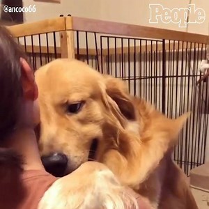 This dog wants to snuggle! | People