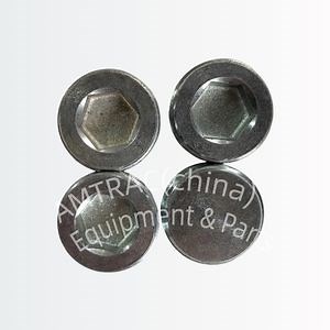 [Hot Item] Screwed Sealing Plug Locking Screw 132661 for Wirtg
