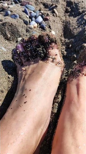 Sea sand foot spa 🫶 #feet#toes#sun#scrub#stucksand