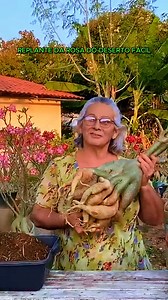 713K views · 12K reactions |  Sua Rosa do Deserto precisa de um novo...