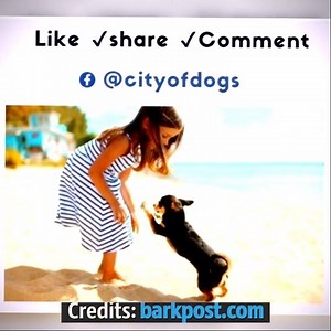 20K views · 497 reactions | 10 Surprising And Secret Ways Your Dog Says ‘I Love You’ Like Dog Lovers Club | Dog Lovers Club | Facebook