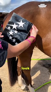 14K views · 120 reactions | This girl did an amazing design on her horse ❤️ #푤표푟푙푑푐표푢푛푡푟푦푠푖푑푒푙푖푓푒푣푙표푔 #HorseArt #EquestrianStyle #TalentShowcase DISCLAIMER NO COPYRIGHT INFRINGEMENT INTENDED | World Countryside Life Vlog | Facebook