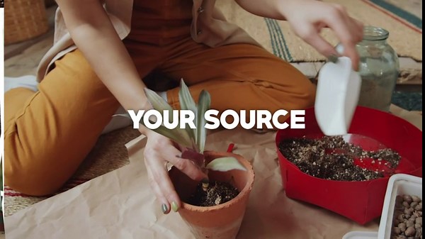 Coffee Plant Growing Soil, All Natural Soil for Growing Arabica and Robusta Coffee Plants, Great for Seedlings, Planting, or Re-Potting, 8qt Bag!