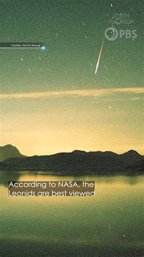 Make sure to catch the Leonid meteor shower this November! It peaks...