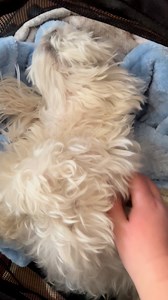 This is my typical good moring routine. I love it. And I love all of you! | Dountin