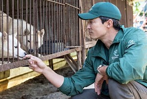 Συγκινεί ο ηθοποιός Daniel Henney: Βοήθησε στη διάσωση 67 σκύλων από φάρμα παραγωγής... σκυλίσιου κρέατος (video photo)