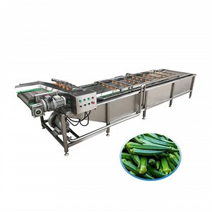 [Hot Item] Commercial Bubble Ozone Fruit Washing Machine Broccoli Spinach Lemongrass Okra Pepper Vegetable Washer