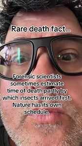 #death #insects #mortician #facts #fyp | insects