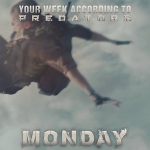 82K views · 1.8K reactions | Your week according to Predators. | Predator | Facebook
