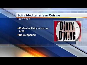 Dirty Dining: Rodents, sanitation issues close restaurants in Lake Worth Beach, Boca Raton area