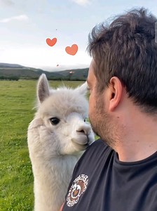 engin danışman (@engindanisman) adlı kullanıcının orijinal ses - engin danışman ile oluşturduğu videoları