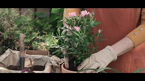 340K views · 11K reactions | Great new original single from Elayne- My Mothers Hands | Hot Country TV | Facebook