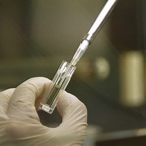 Video: The Multifaceted Benefits of Protein Co-expression in Escherichia coli