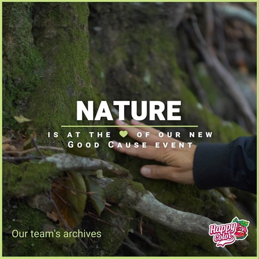 60K views · 6.4K reactions | At Happy Color, everything we do is...