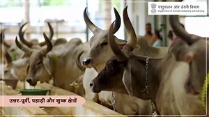 297K views · 8.4K reactions | On the occasion of National Milk Day...