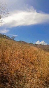 Bonitos paisajes 🌳🌳 #reelsviralシ #vidaenelcampo | Anayeli Vertiz